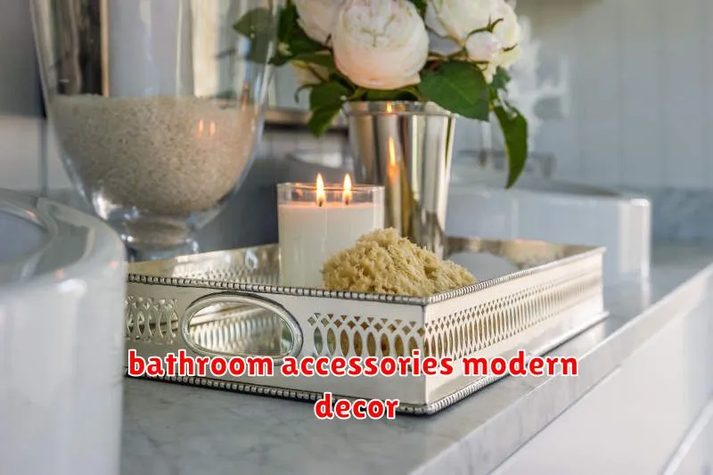 bathroom accessories modern decor